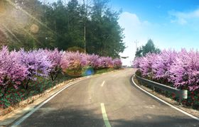 乡村道路改造