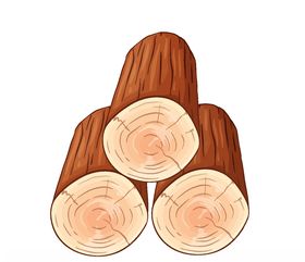 树桩