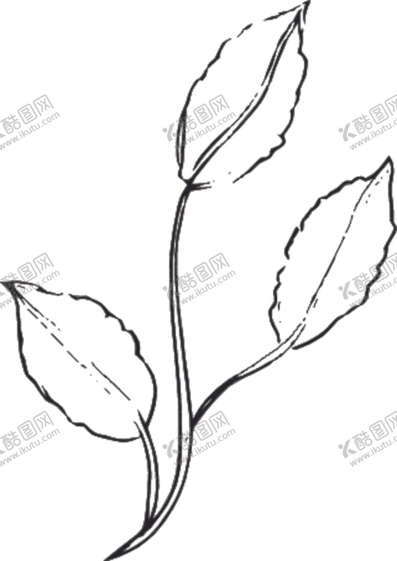 编号：99628207030624257813【酷图网】源文件下载-手绘花卉元素