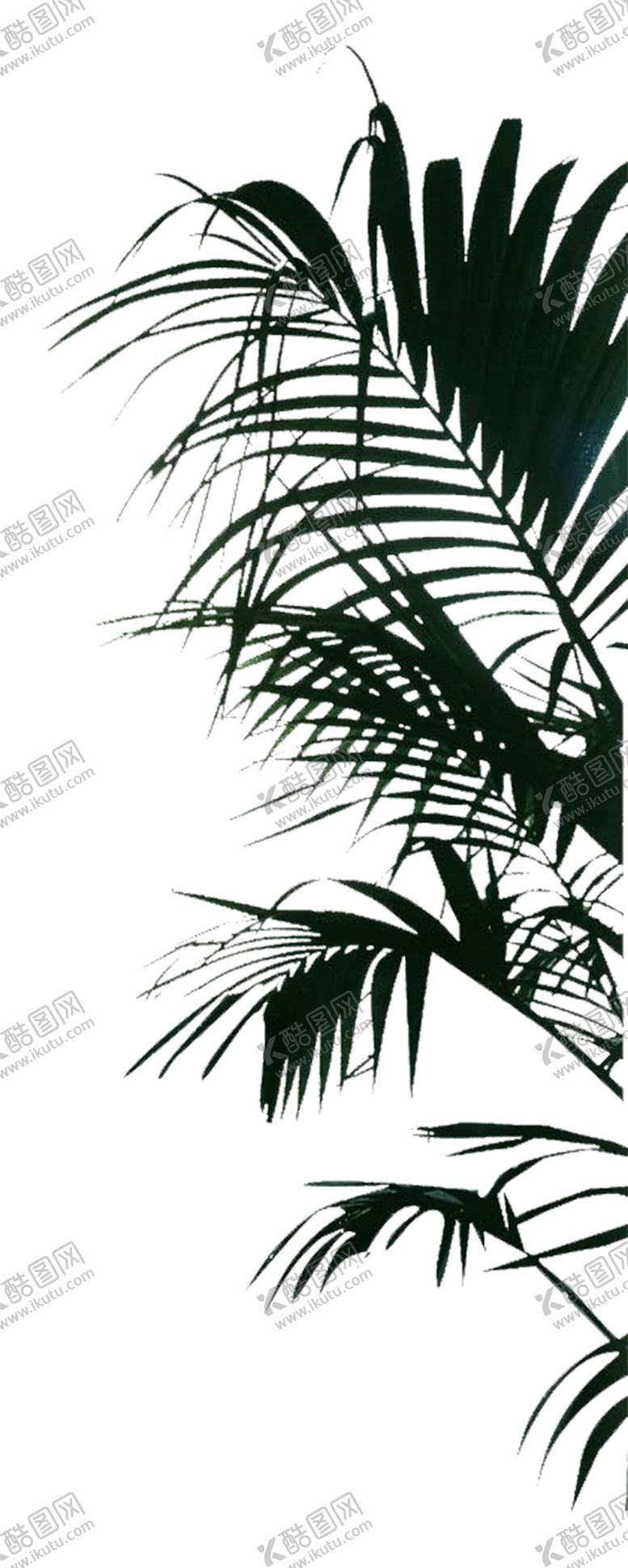 编号：86408910011644025190【酷图网】源文件下载-绿色装饰