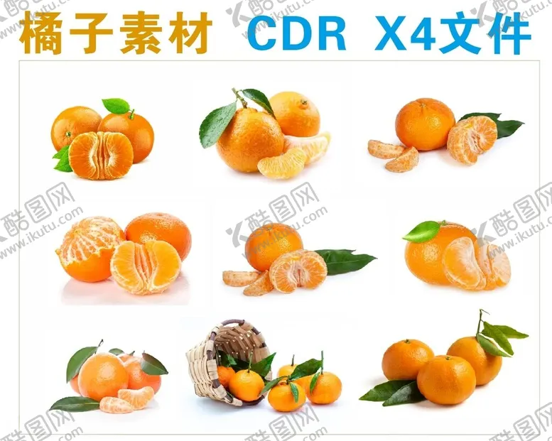 编号：34479002122225228779【酷图网】源文件下载-橘子素材