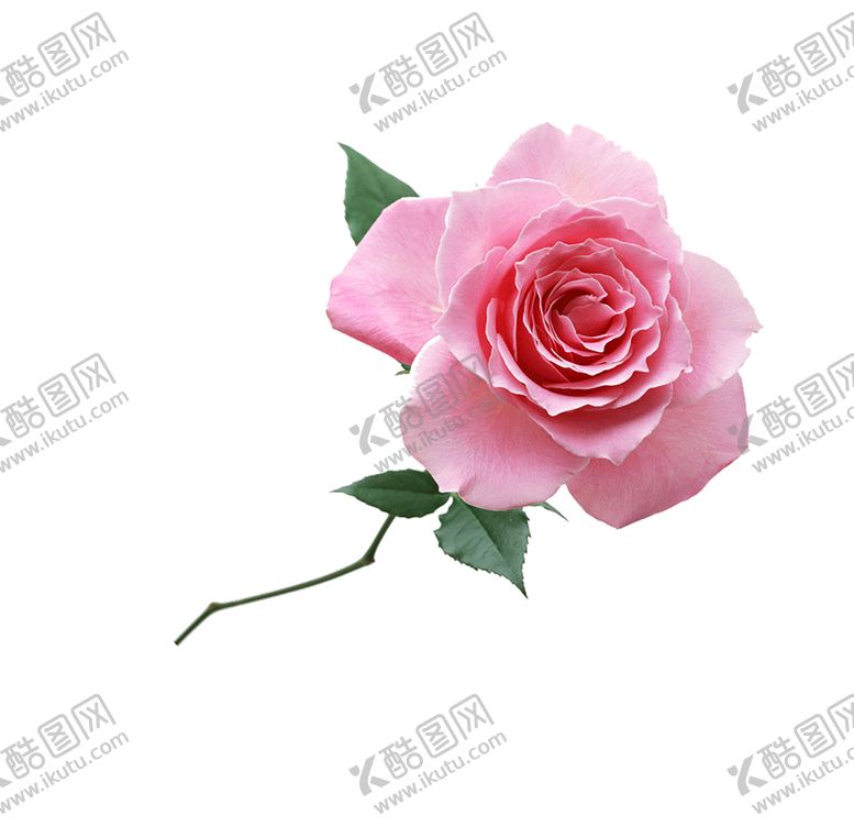 编号：86159610020457064649【酷图网】源文件下载-七夕素材