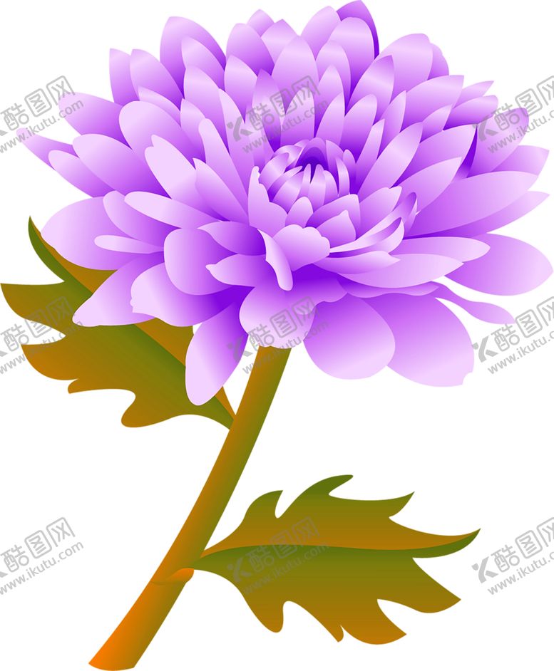 编号：79088707081903437525【酷图网】源文件下载-鲜花素材
