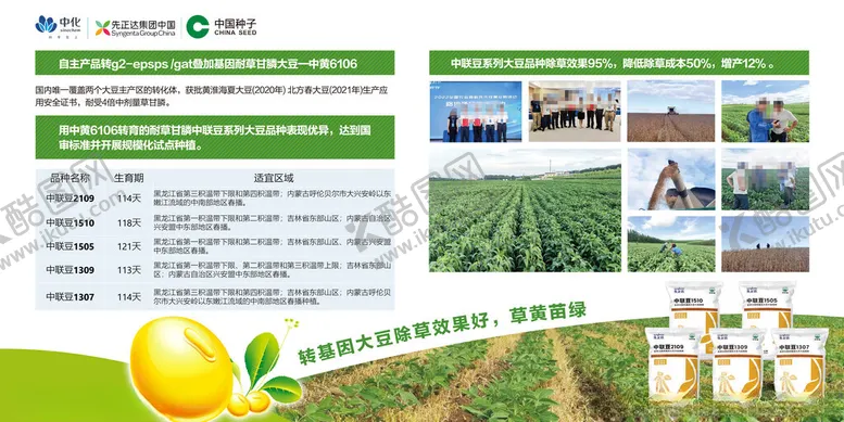 编号：67925302161506321417【酷图网】源文件下载-大豆四展板模板