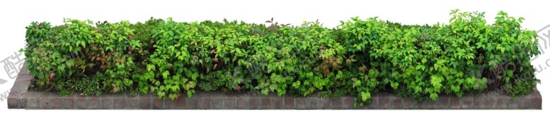 编号：58745109200350468003【酷图网】源文件下载-免扣植物素材图片