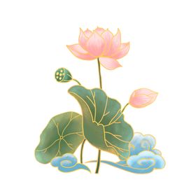 荷花莲摄影莲水彩工笔画