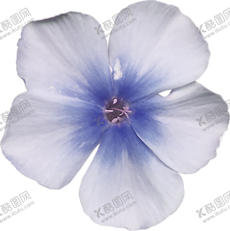 编号：34601307132125011089【酷图网】源文件下载-鲜花素材