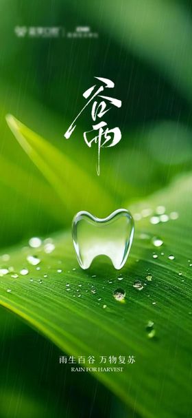 谷雨口腔节气图