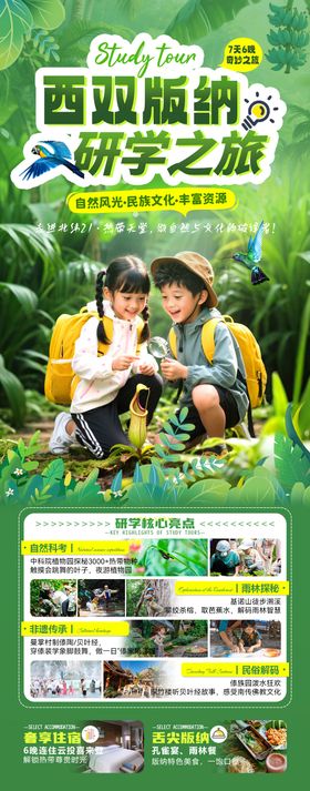 西双版纳研学之旅7日游海报