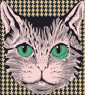 猫几何大牌