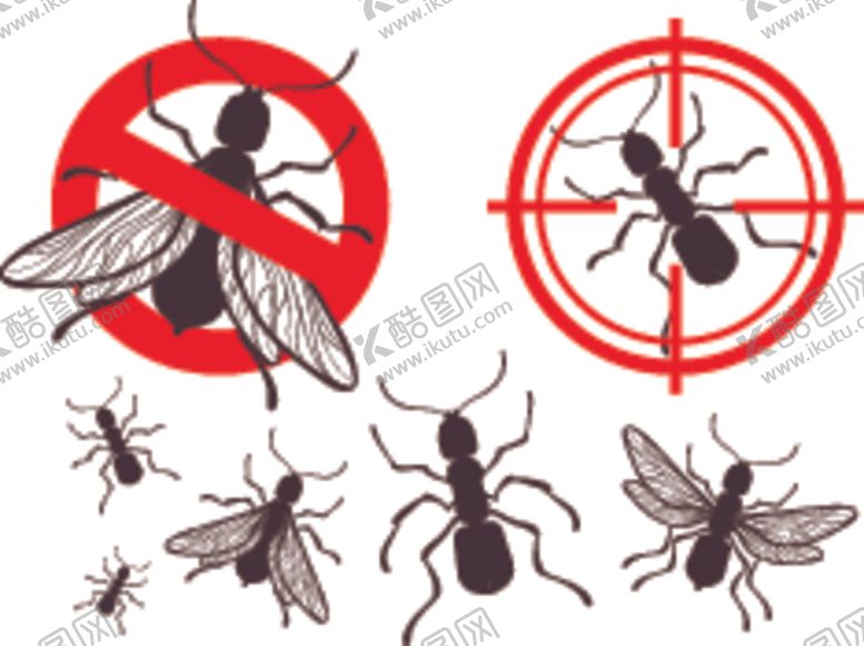 编号：88189509200318573934【酷图网】源文件下载-杀虫
