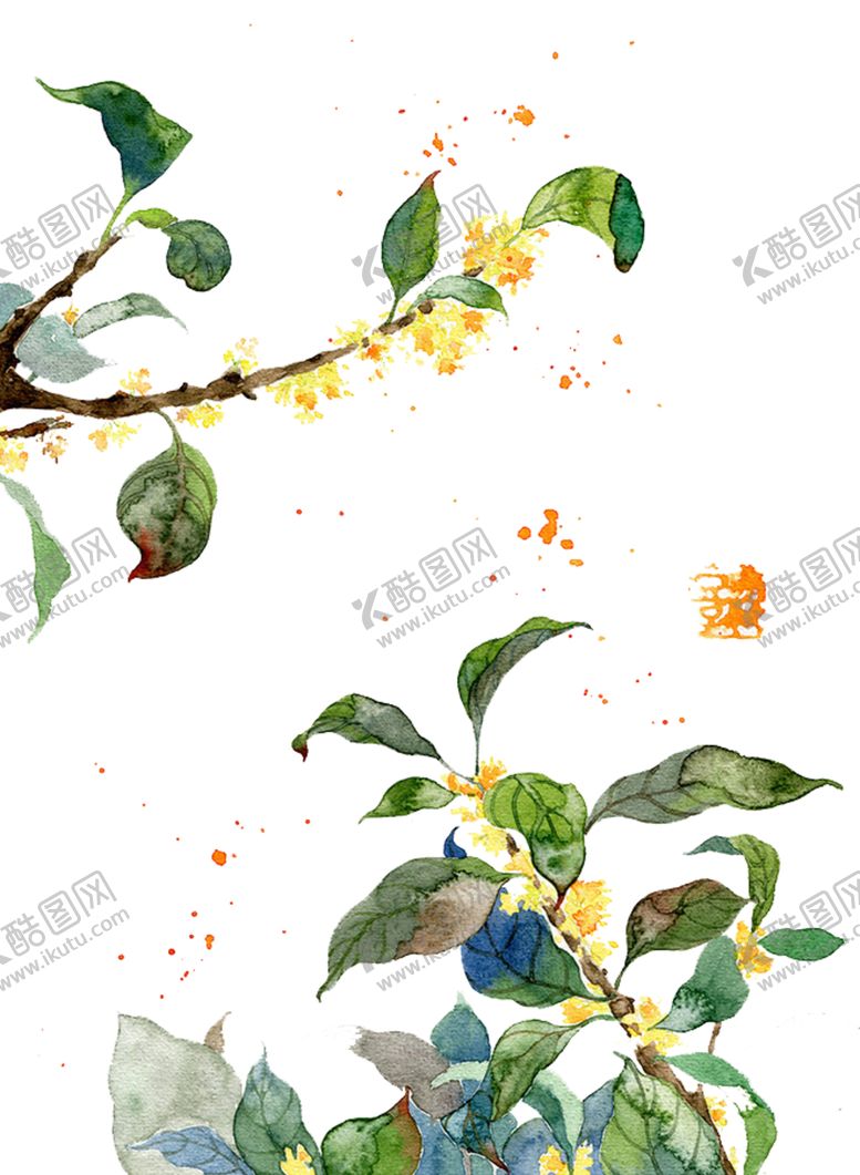 编号：30018510231447455336【酷图网】源文件下载-桂花png