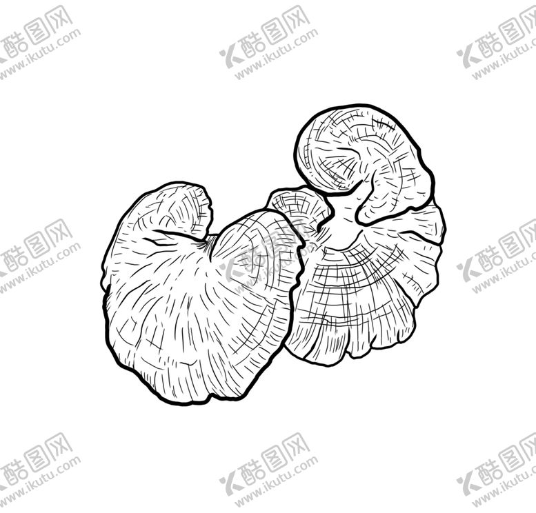 编号：68428205130532153705【酷图网】源文件下载-灵芝