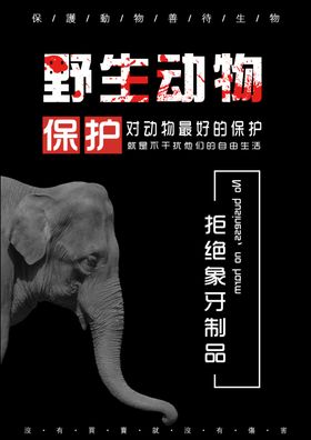保护野生动物
