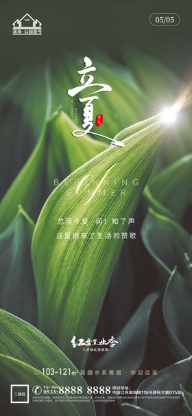 地产立夏夏至微信海报画面节气促销