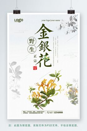 小清新简约野生金银花茶海报