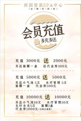 充值价目表模板美容单张简洁价目表