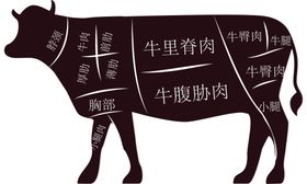牛肉分割图