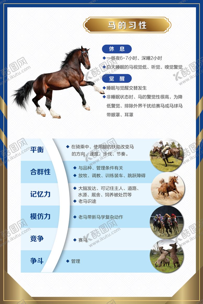 编号：85492709190416205632【酷图网】源文件下载-设计马术展板图片