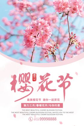 樱花节