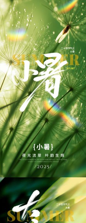 小暑大暑实景系列海报