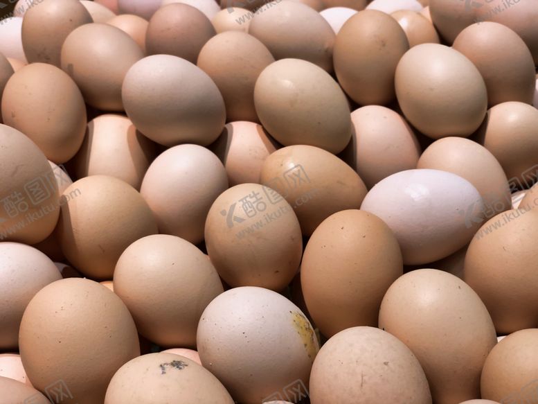 编号：83569707131352165076【酷图网】源文件下载-鲜鸡蛋