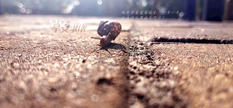 编号：10328910110032039081【酷图网】源文件下载-早安 阳光