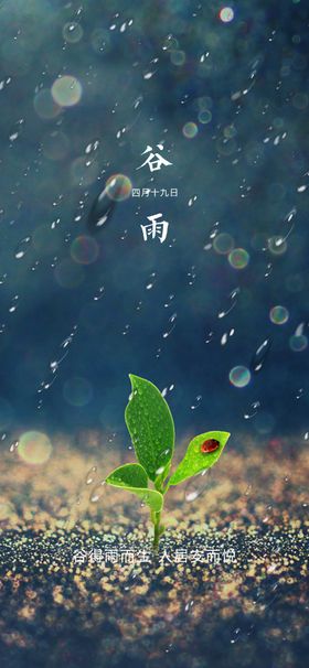 谷雨节气海报