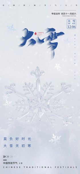 大雪节气设计花24节气海报冬天