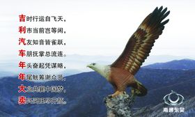 鹰击长空