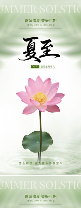 夏至节气简约意境荷花海报