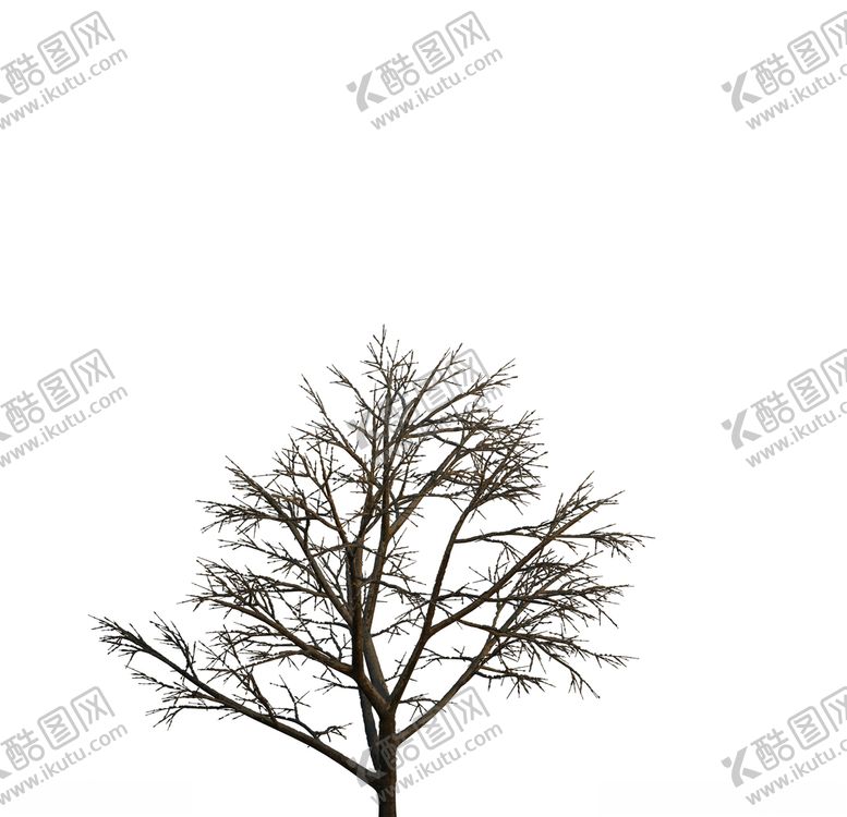 编号：40767010140841086900【酷图网】源文件下载-树木