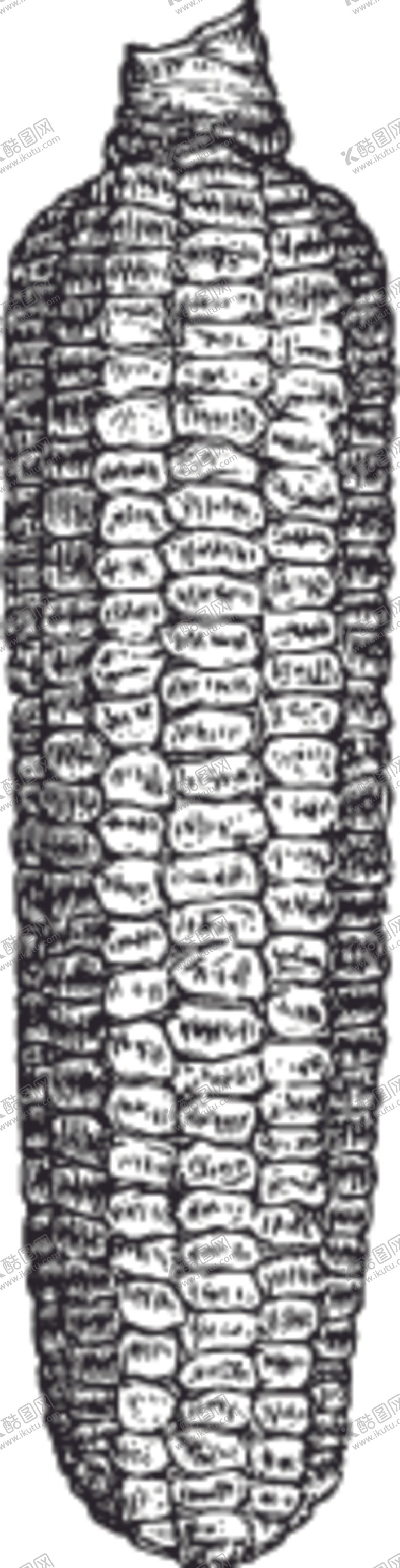 编号：71288409220444497660【酷图网】源文件下载-素描手绘蔬菜