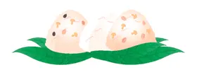 粽子