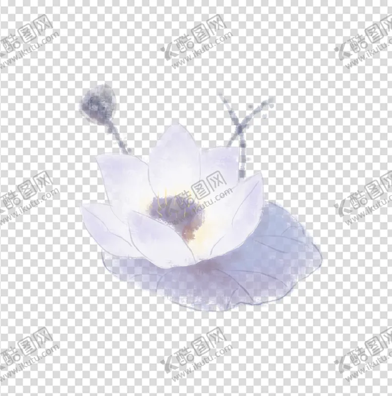 编号：36594209120047599653【酷图网】源文件下载-荷花 莲花 