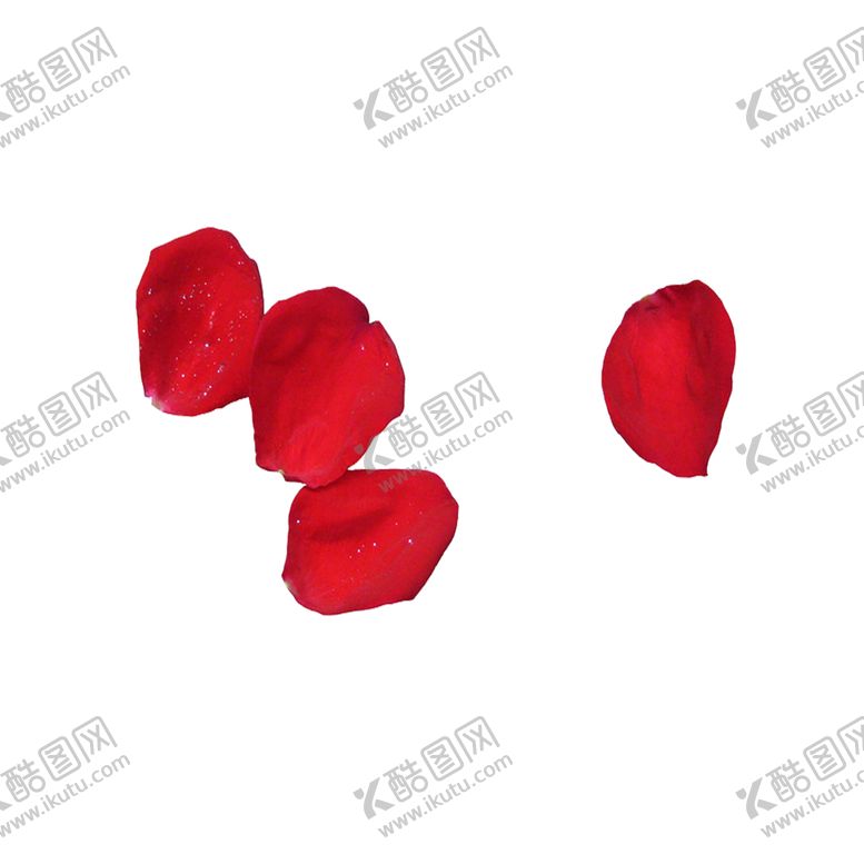 编号：30680607080619226954【酷图网】源文件下载-手绘植物花卉