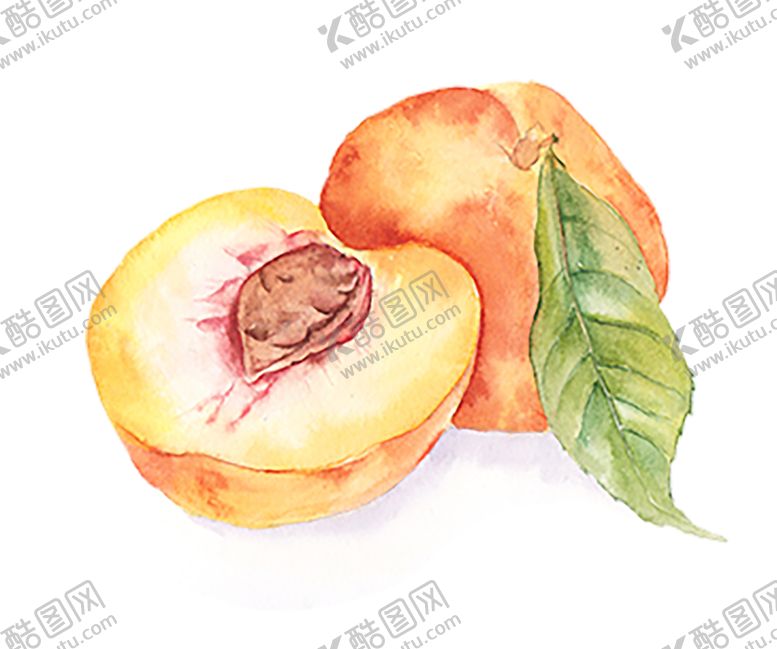 编号：52458409301804294668【酷图网】源文件下载-水果