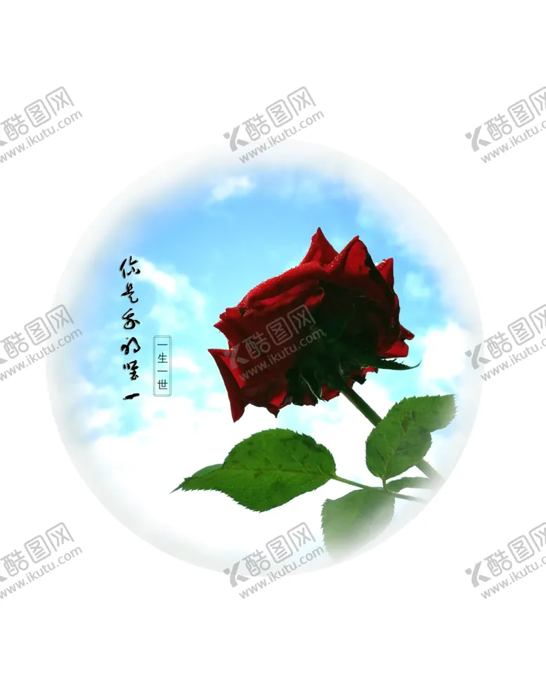 编号：78238404211503113242【酷图网】源文件下载-玫瑰花