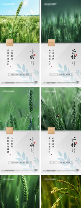 地产小满芒种节气海报