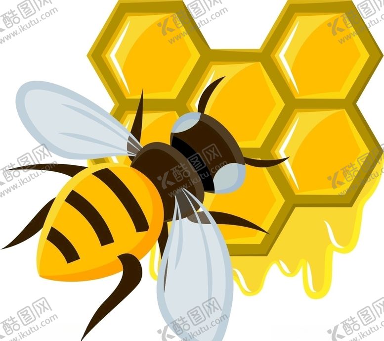 编号：73788510031723146221【酷图网】源文件下载-蜜蜂蜂蜜素材