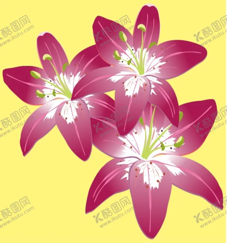 编号：15224801261735049121【酷图网】源文件下载-百合花