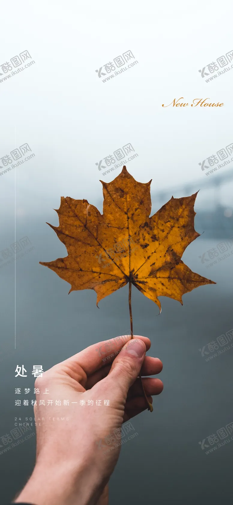 编号：38398902211706216865【酷图网】源文件下载-处暑海报