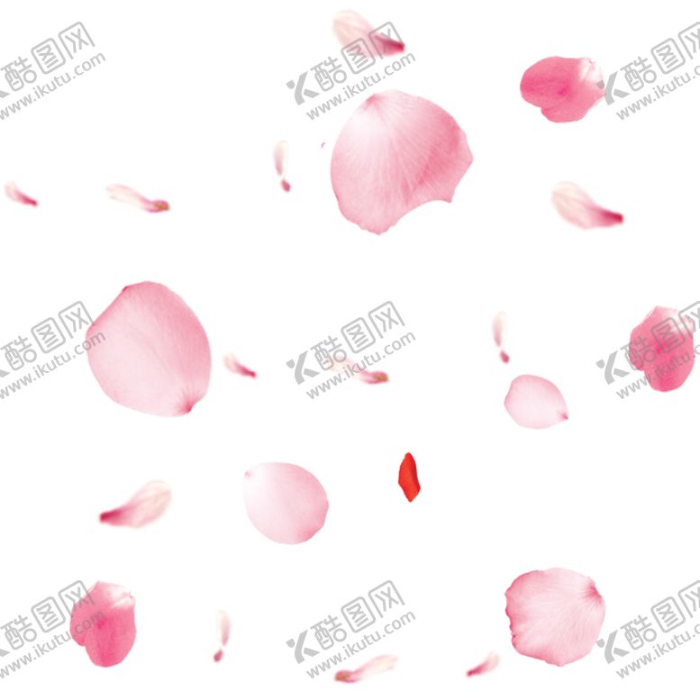 编号：99863806190434426285【酷图网】源文件下载-手绘植物花卉