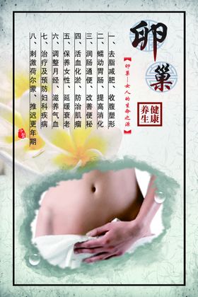 养生卵巢保养海报