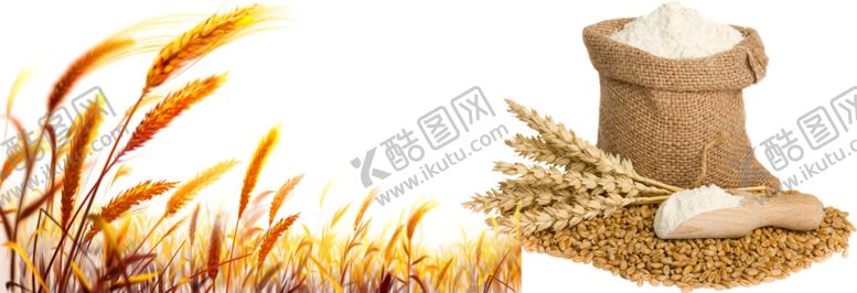 编号：36913404181920392941【酷图网】源文件下载-小麦png免扣高清素材