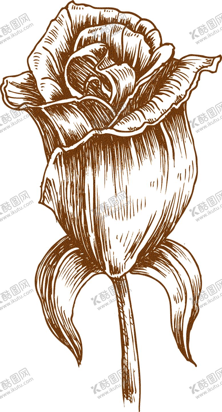 编号：36674009282047236770【酷图网】源文件下载-鲜花装饰