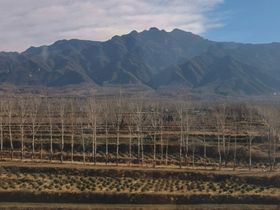 火山土地岩浆图片