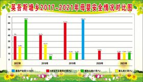 2017-2021年母婴安全情