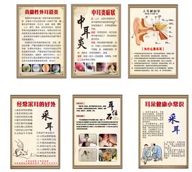 耳部健康知识