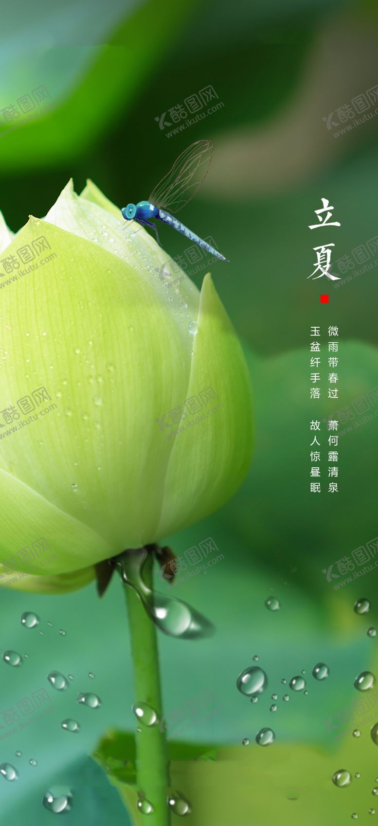 编号：02769409161552066234【酷图网】源文件下载-立夏节气海报